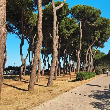 Locazione Turistica Perseide - Pit125 بينيتو